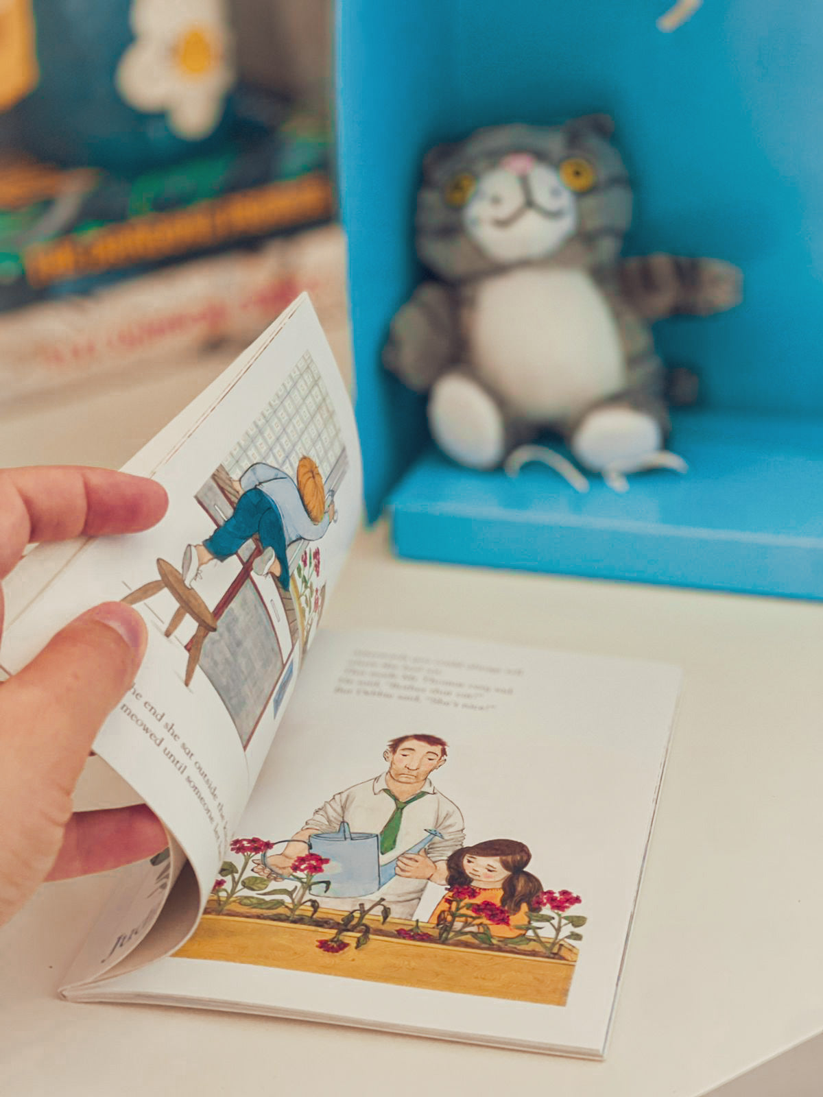 Mog the Forgetful Cat Book and Toy Gift Set