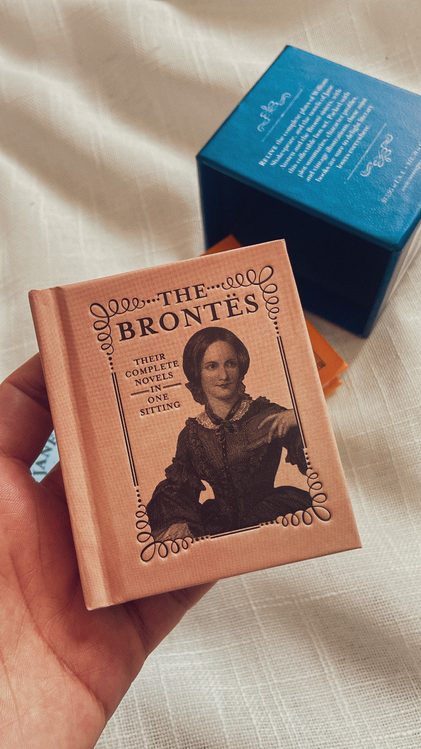Literature Lovers Minis Books Set