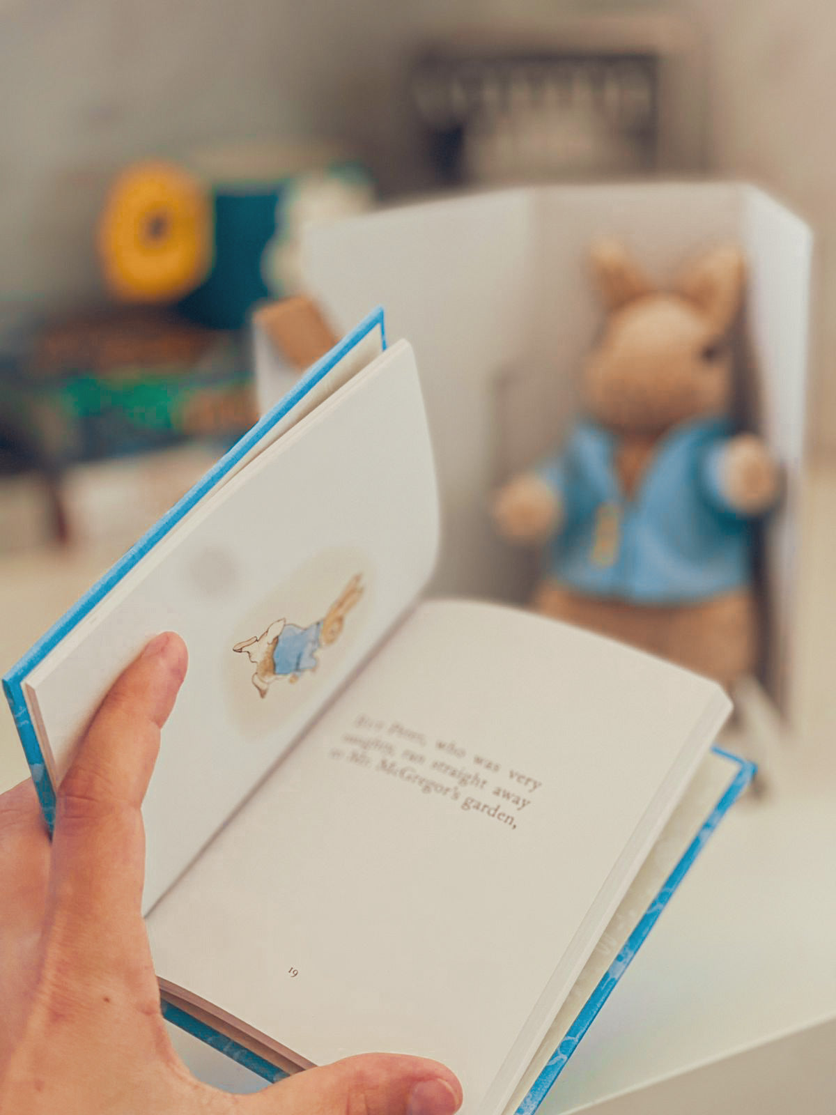 Peter Rabbit Book and Toy Gift Set
