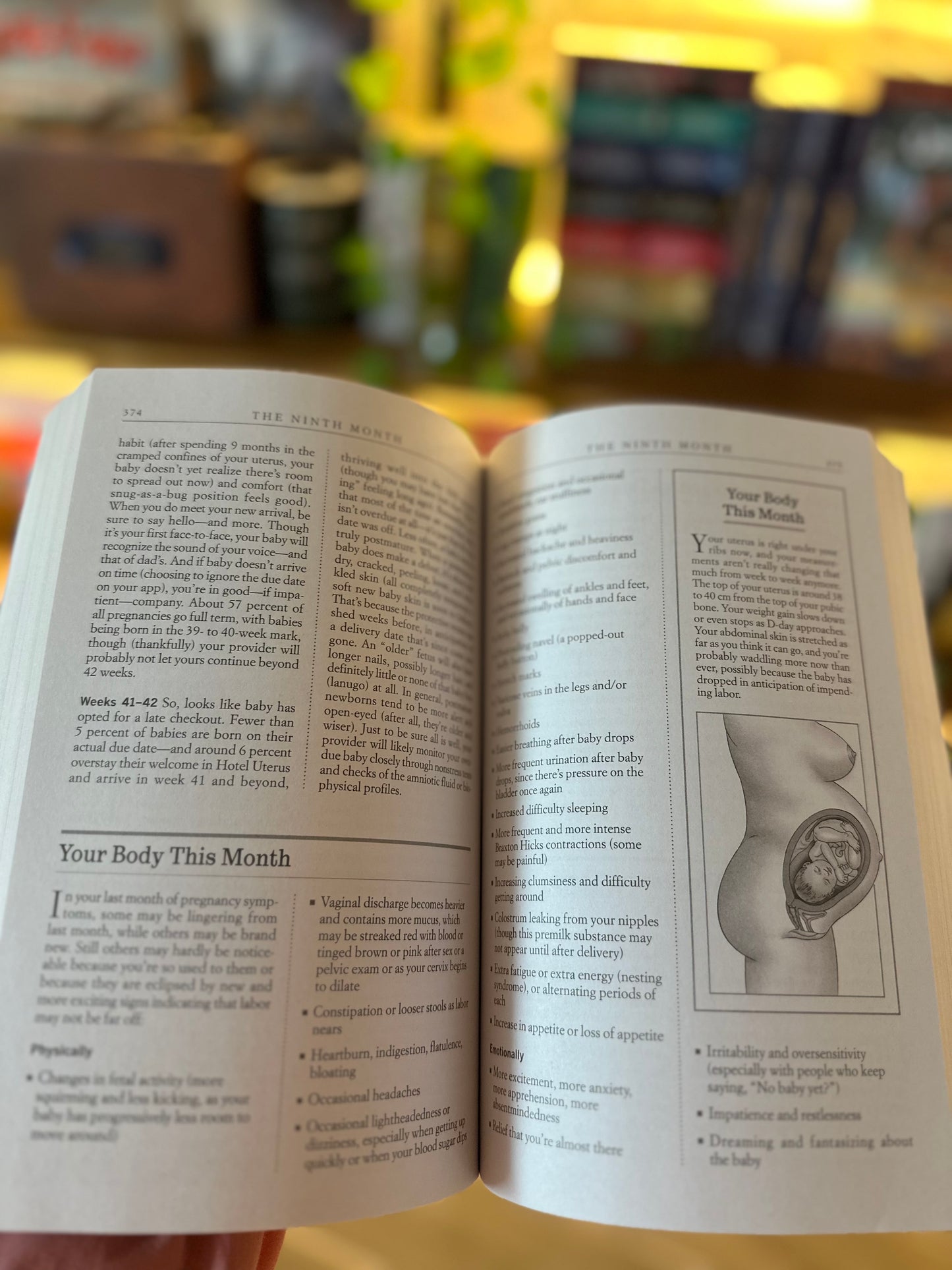 What to Expect When You’re Expecting (The All IN one Guide ) | Heidi Murkoff