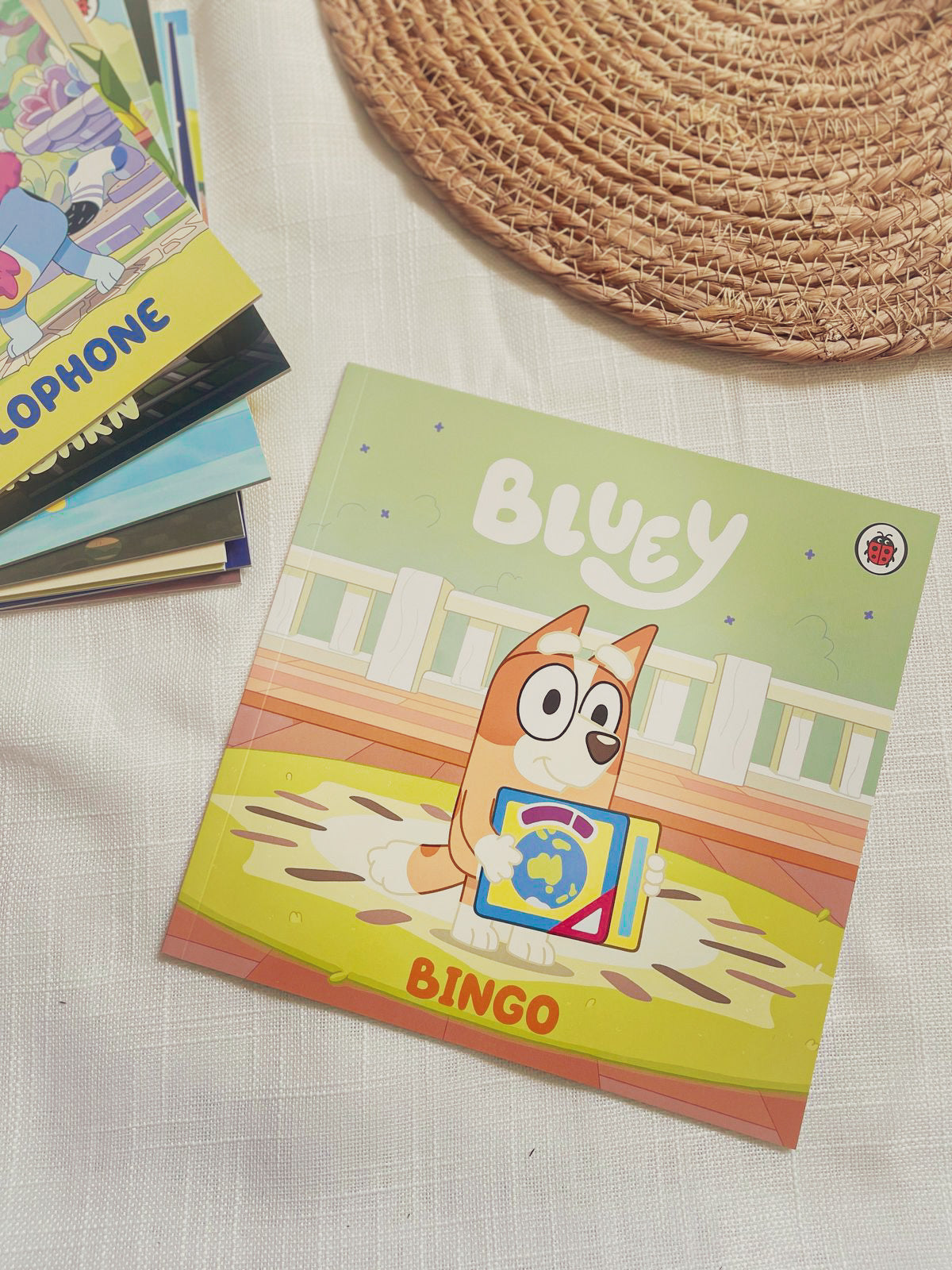 Bluey Let's Do This! Box of Books 10 Books Collection Box Set