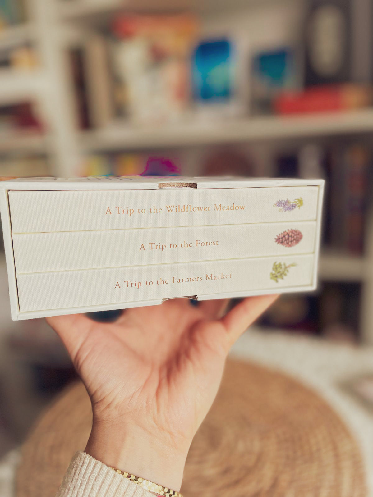 Our Little Adventures: Stories Featuring Foundational Language Concepts for Growing Minds (Our Little Adventures Series)