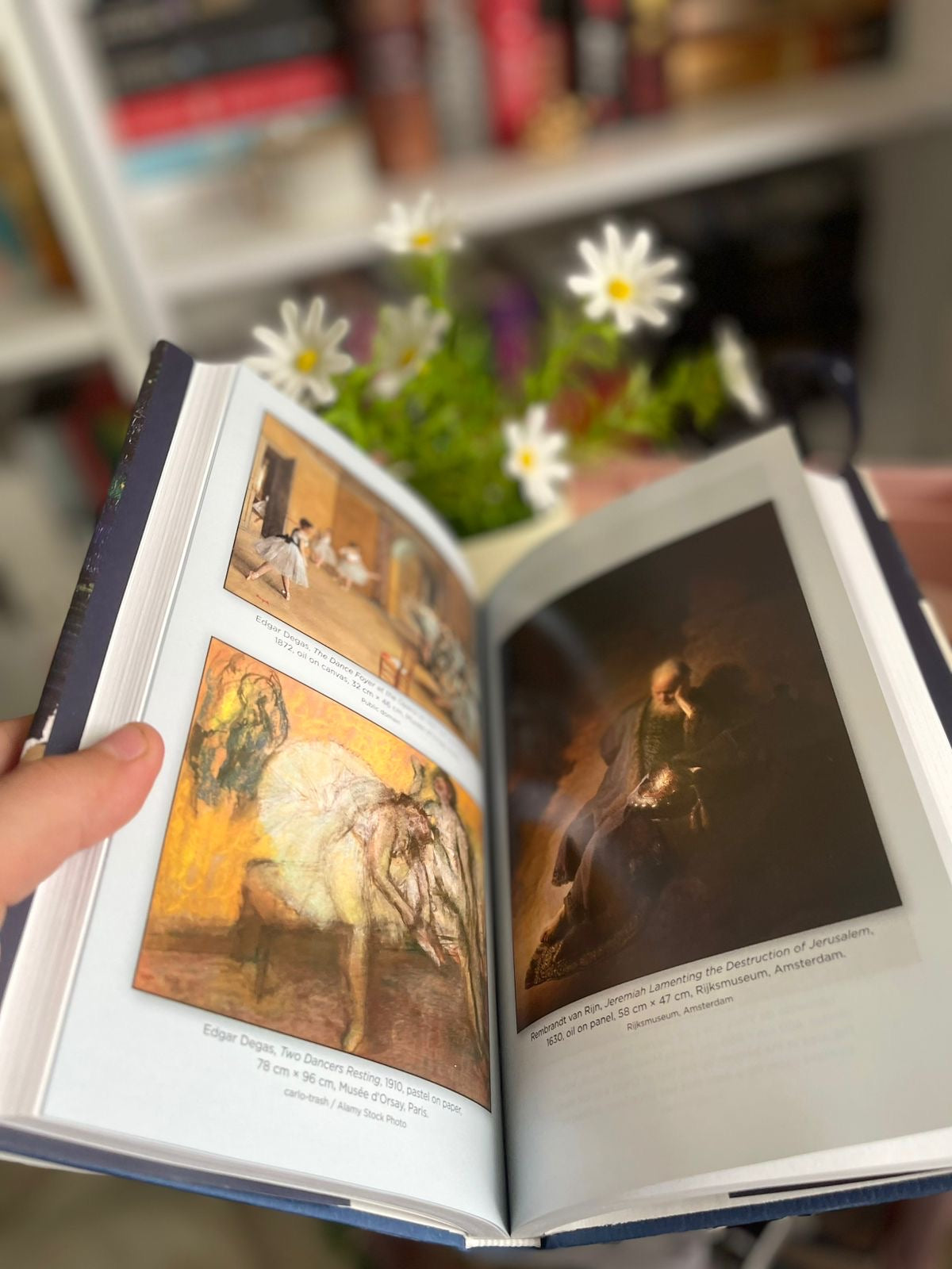 Van Gogh Has a Broken Heart: What Art Teaches Us About the Wonder and Struggle of Being Alive | hardcover