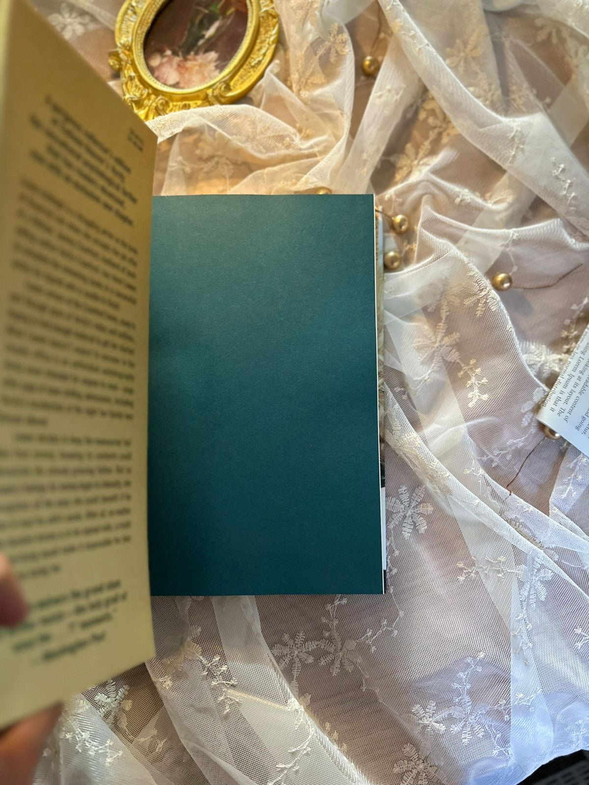 Verity | Colleen Hoover Special Edition ( Includes a letter from the auther and Exclusive New Chapter )