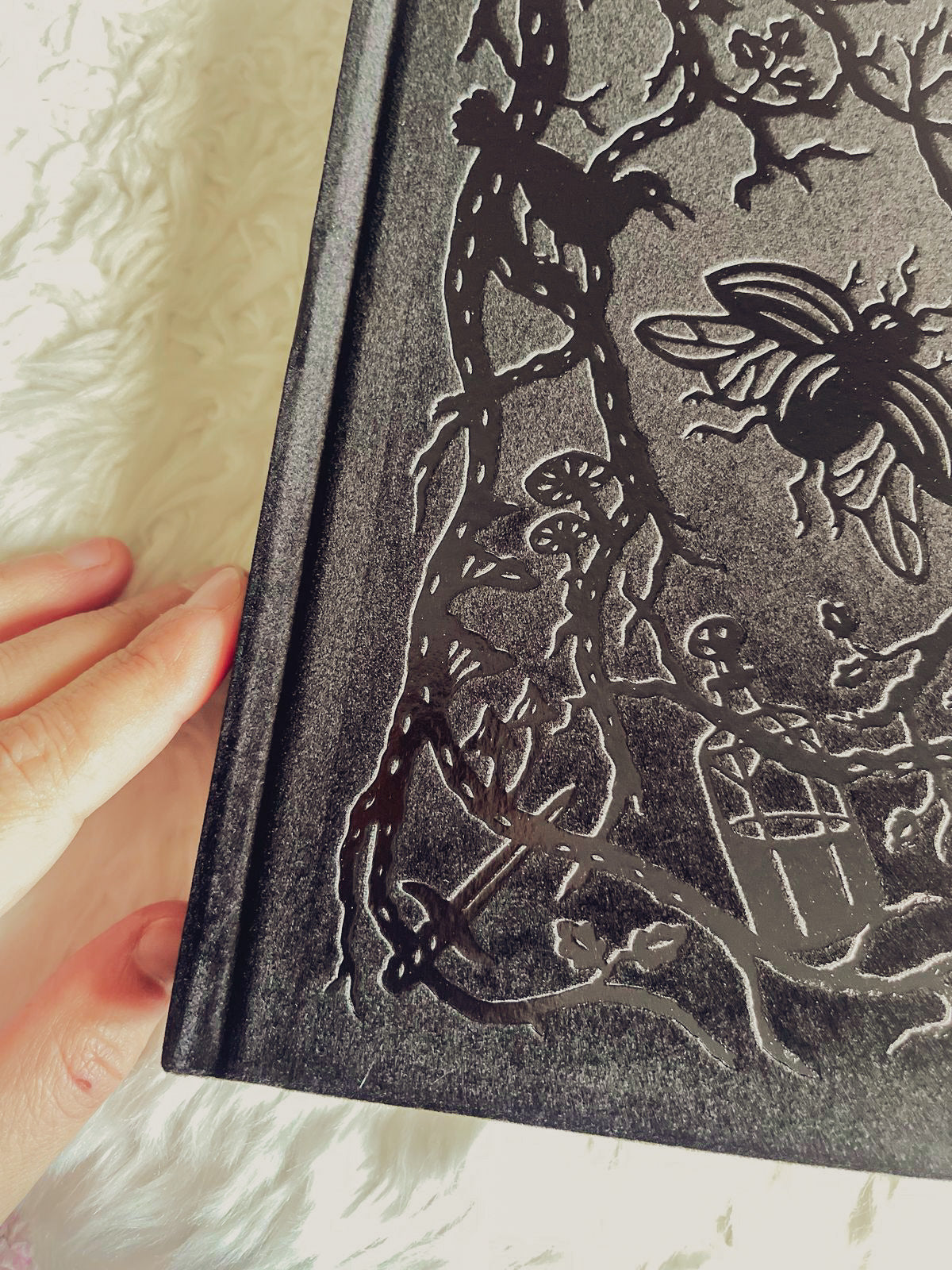 The Cruel Prince Collector’s Edition