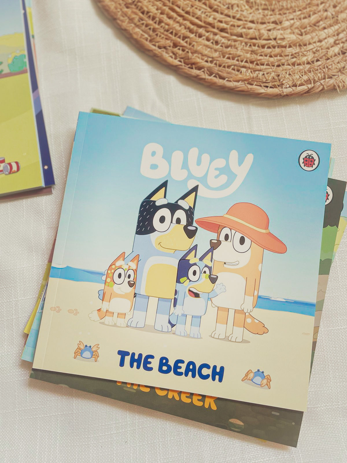 Bluey Let's Do This! Box of Books 10 Books Collection Box Set