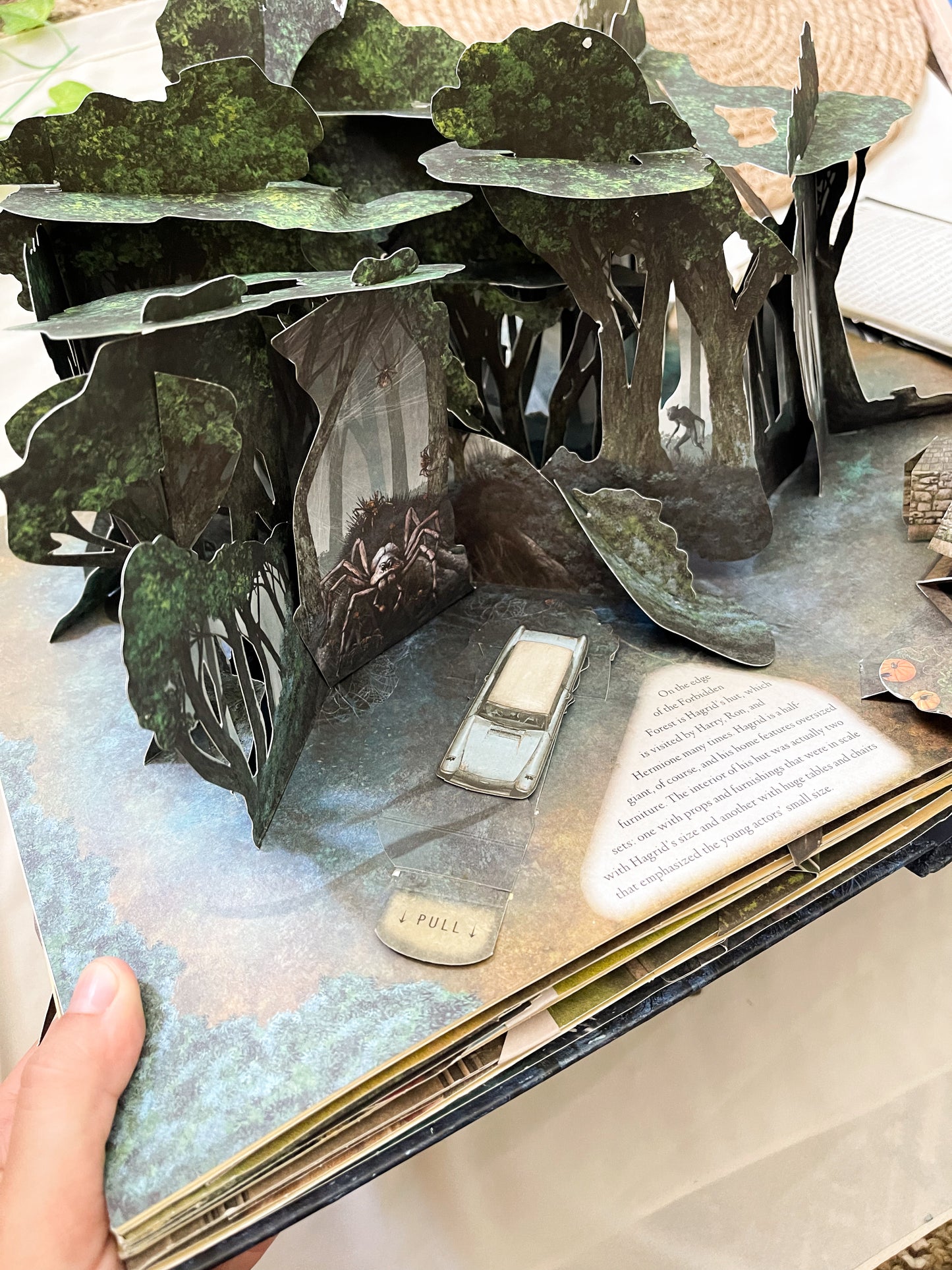 Harry Potter: A Pop-Up Guide to Hogwarts