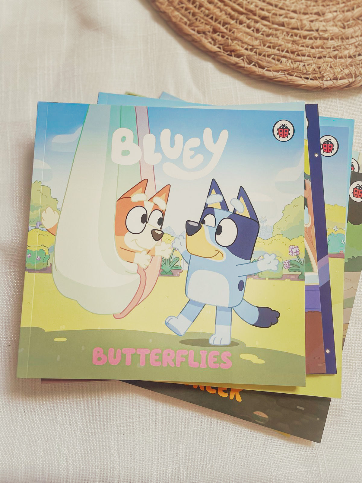 Bluey Let's Do This! Box of Books 10 Books Collection Box Set