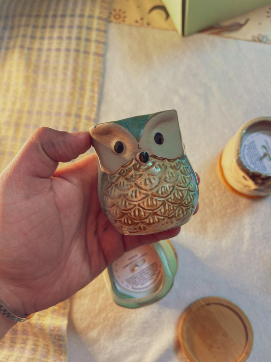 Citronella Scented Candles for Relaxing