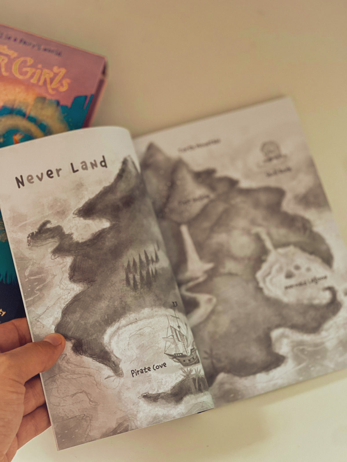 The Never Girls Books Set (Children)