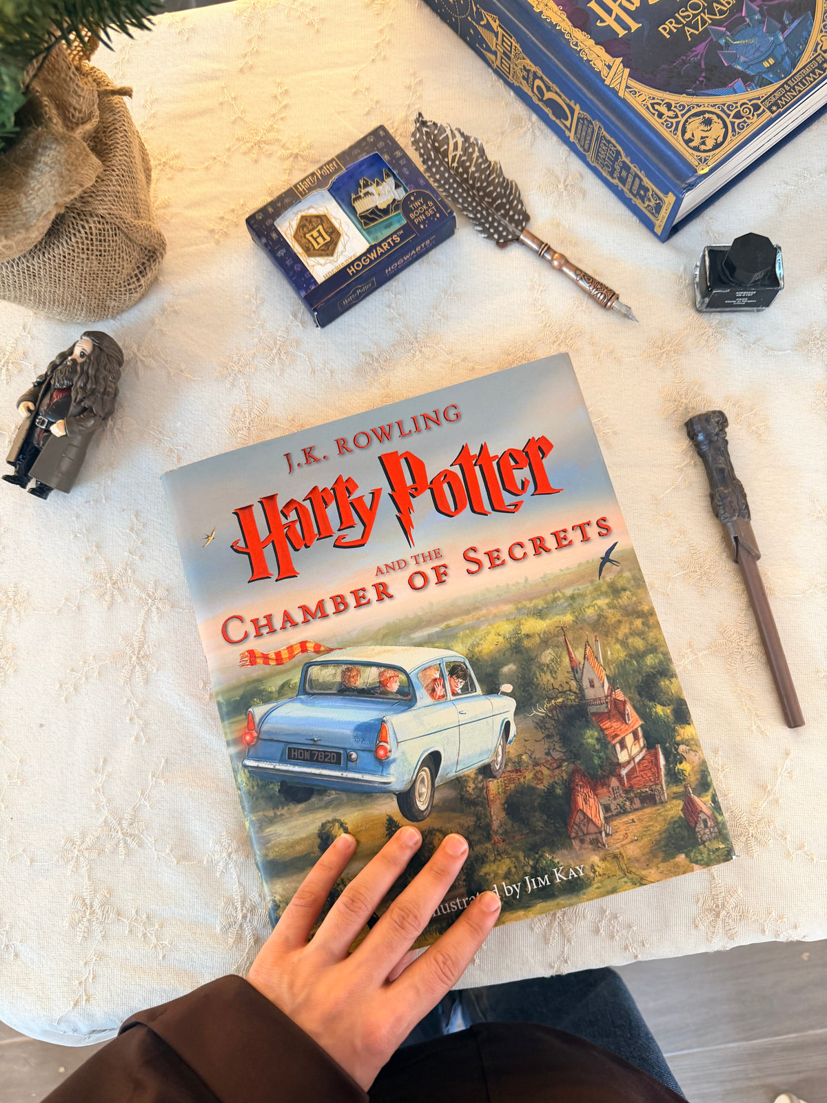 Harry Potter and the Chamber of Secrets: The Illustrated Edition (Harry Potter, Book 2)
