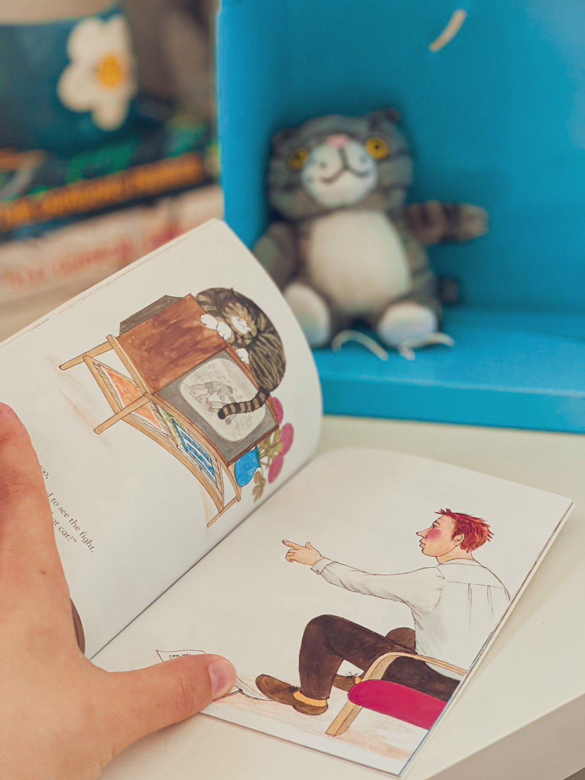 Mog the Forgetful Cat Book and Toy Gift Set