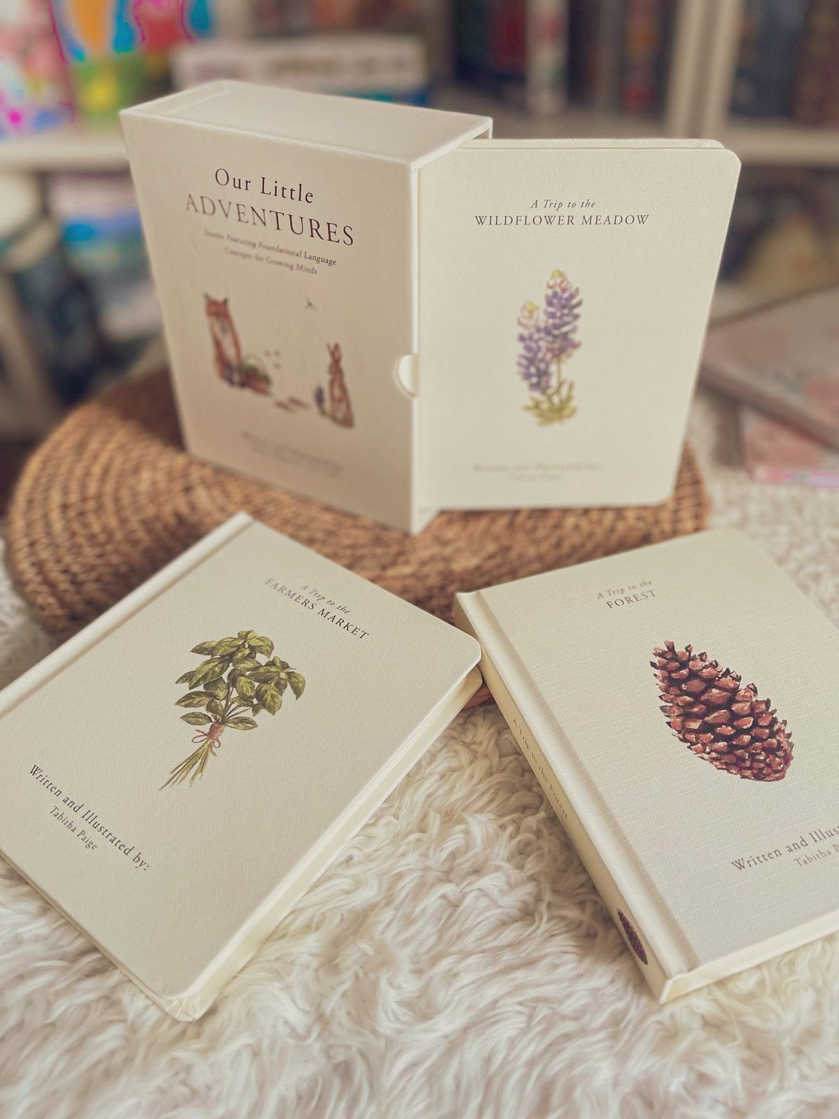 Our Little Adventures: Stories Featuring Foundational Language Concepts for Growing Minds (Our Little Adventures Series)