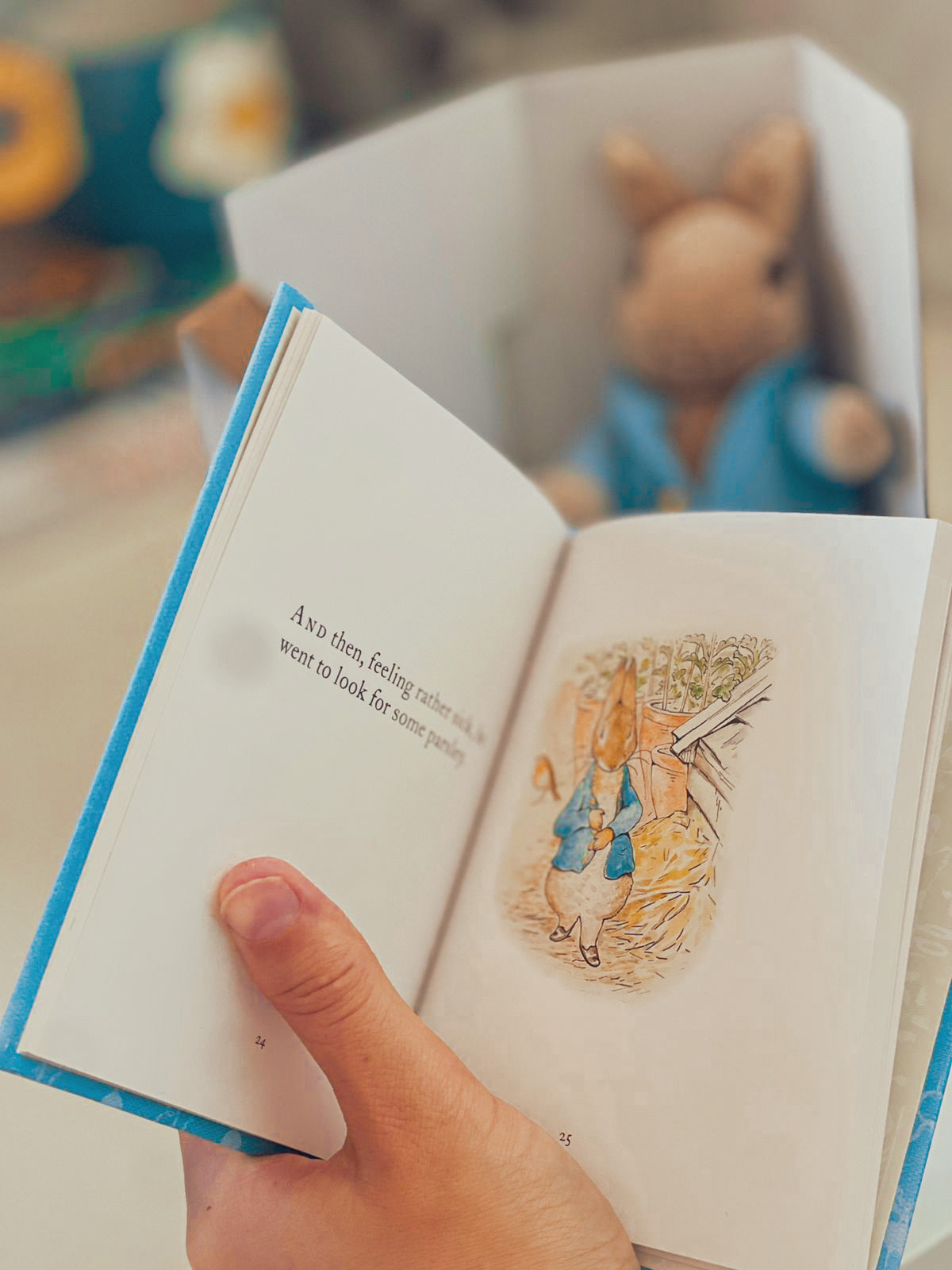 Peter Rabbit Book and Toy Gift Set