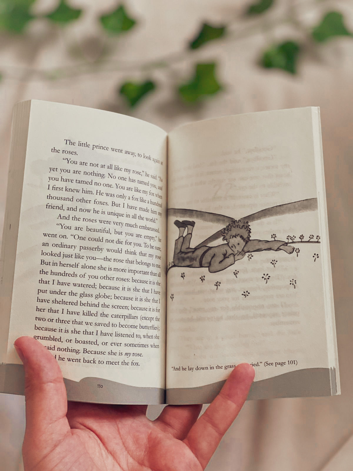 Little Prince (Pocket Edition)