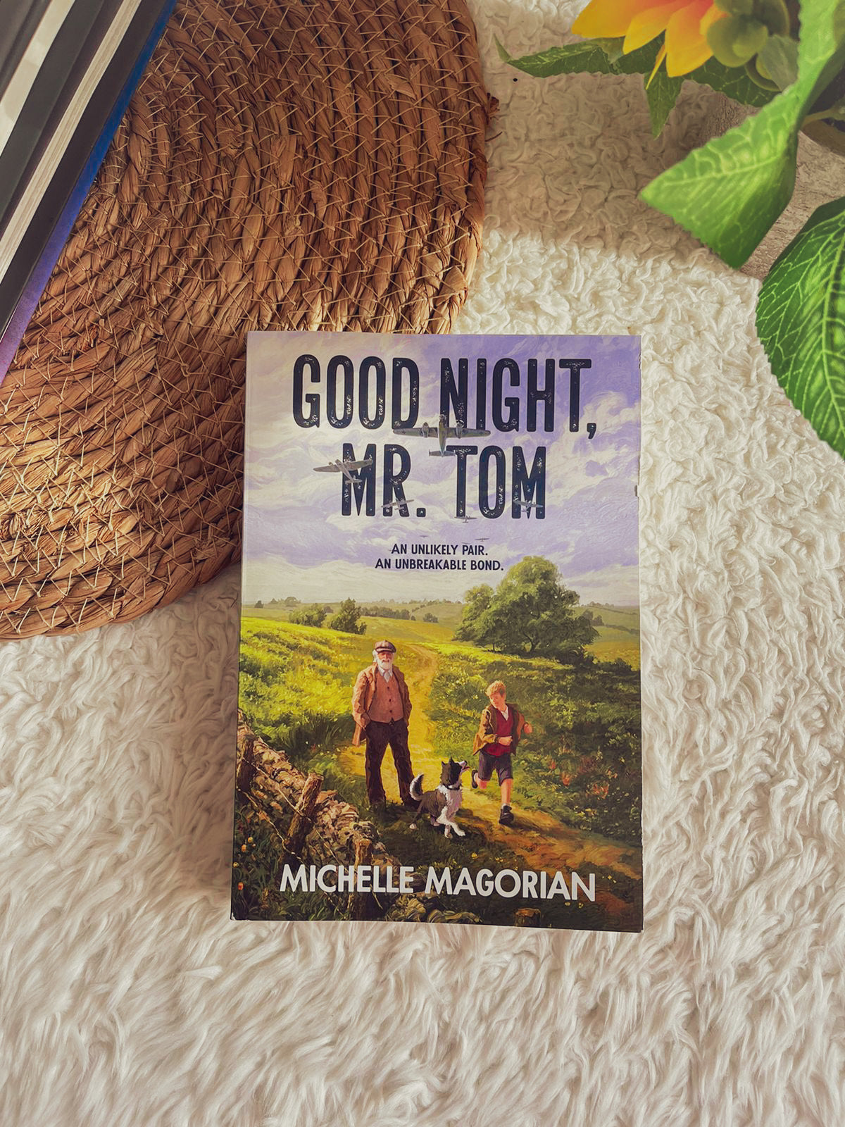 Good Night, Mr. Tom