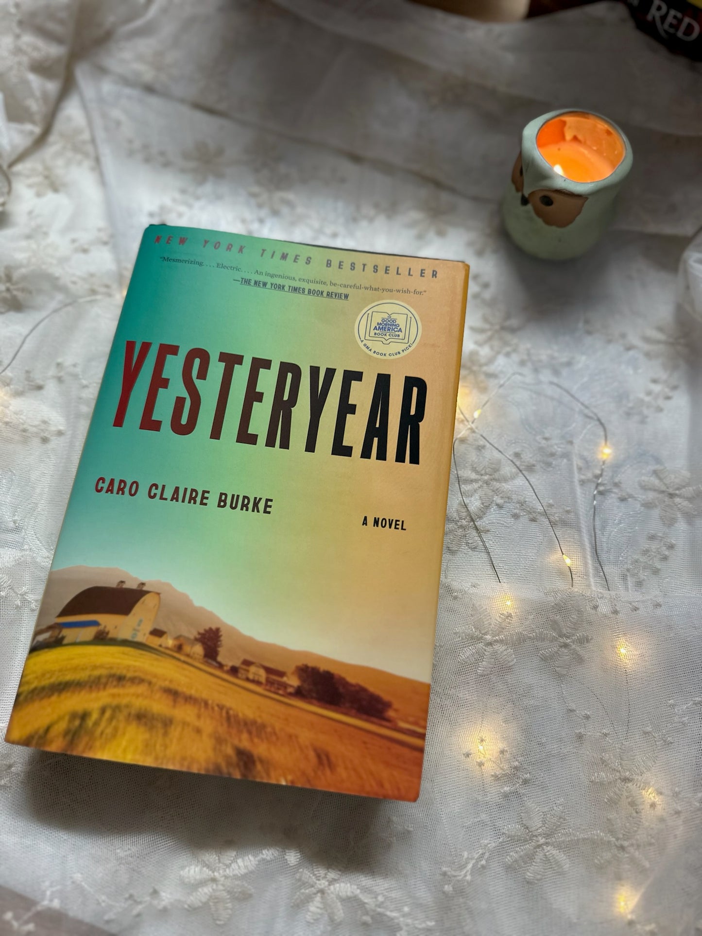 Yesteryear: A Novel ( Caro Calire Burke ) , Hardcover