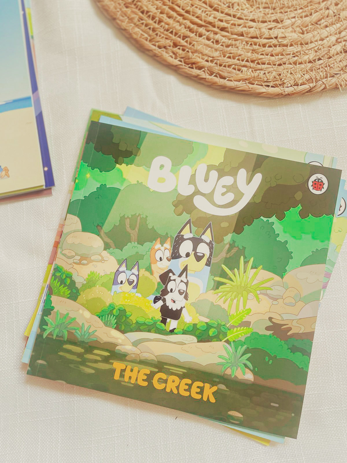Bluey Let's Do This! Box of Books 10 Books Collection Box Set
