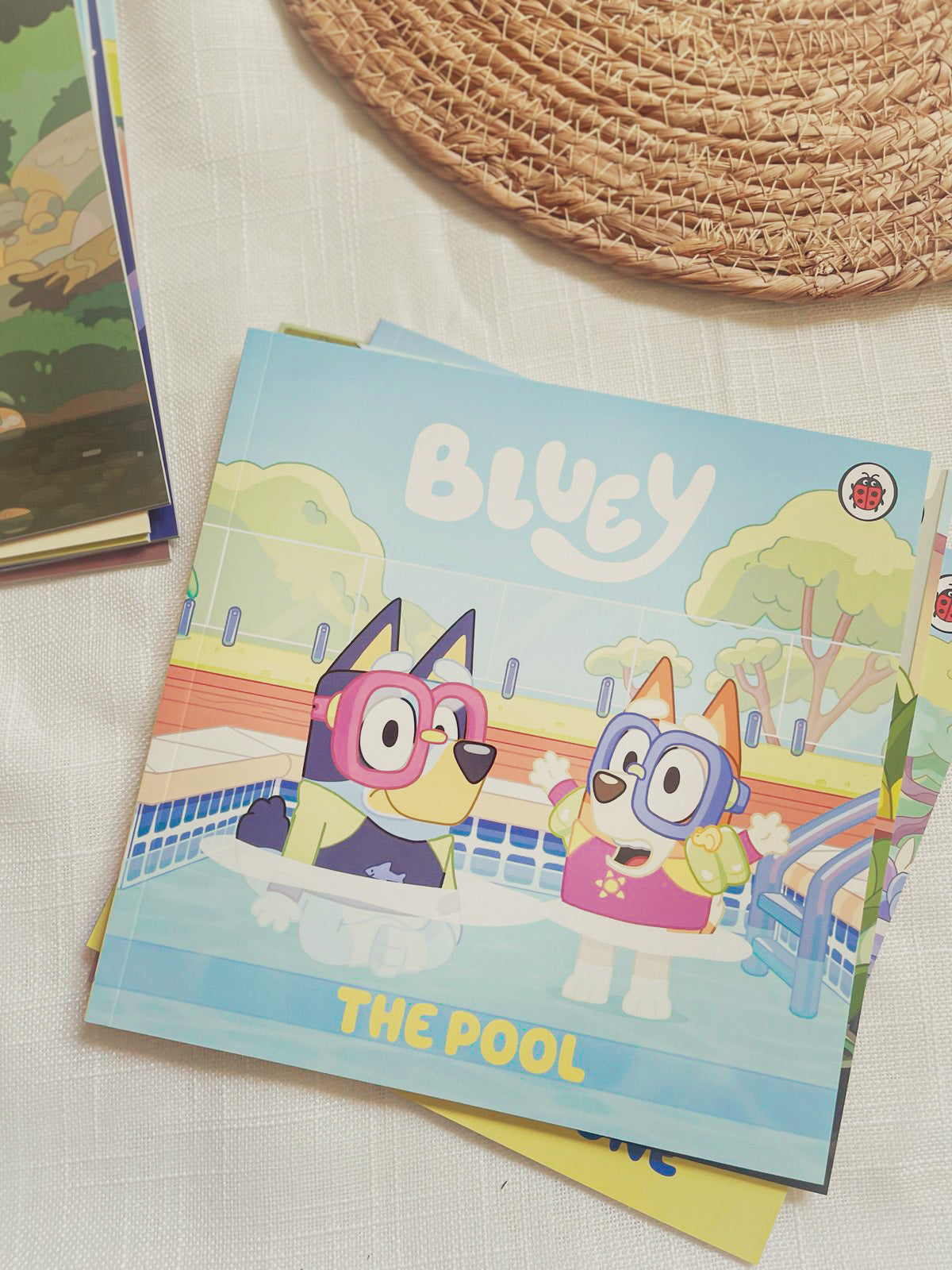 Bluey Let's Do This! Box of Books 10 Books Collection Box Set