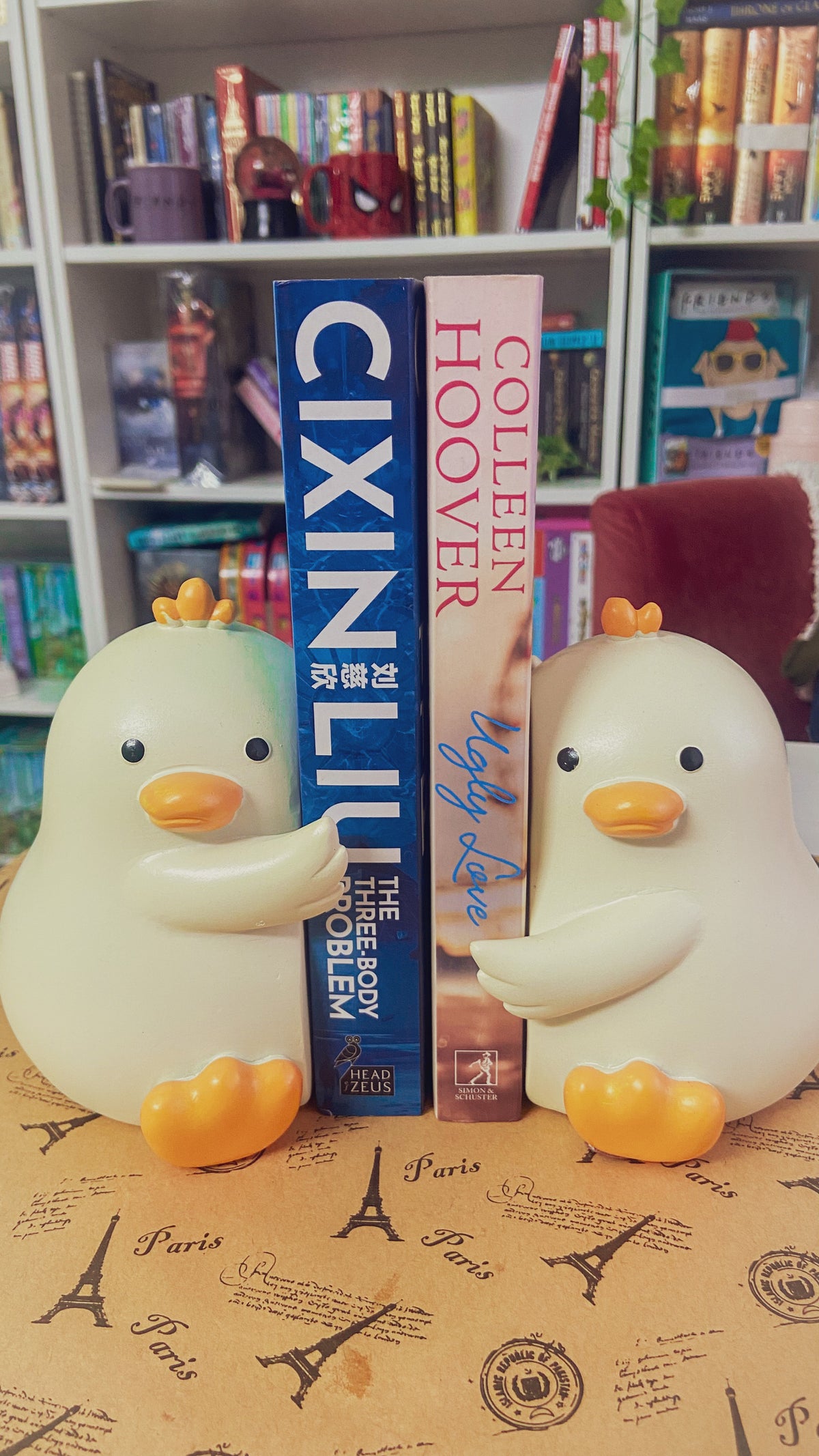 Cute Book Ends for Shelves