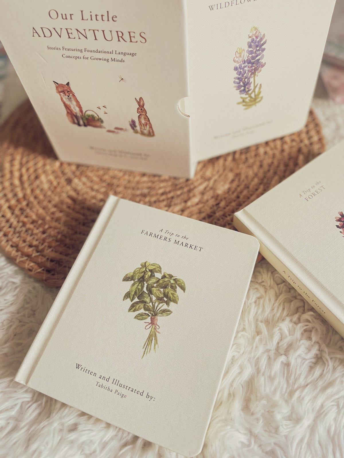 Our Little Adventures: Stories Featuring Foundational Language Concepts for Growing Minds (Our Little Adventures Series)