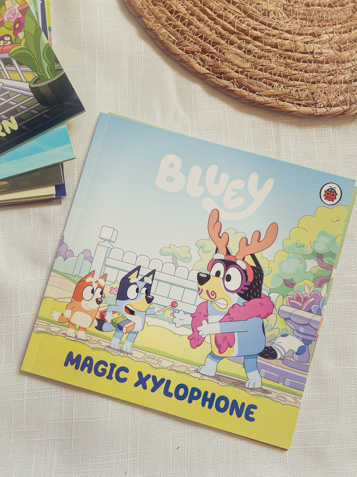 Bluey Let's Do This! Box of Books 10 Books Collection Box Set
