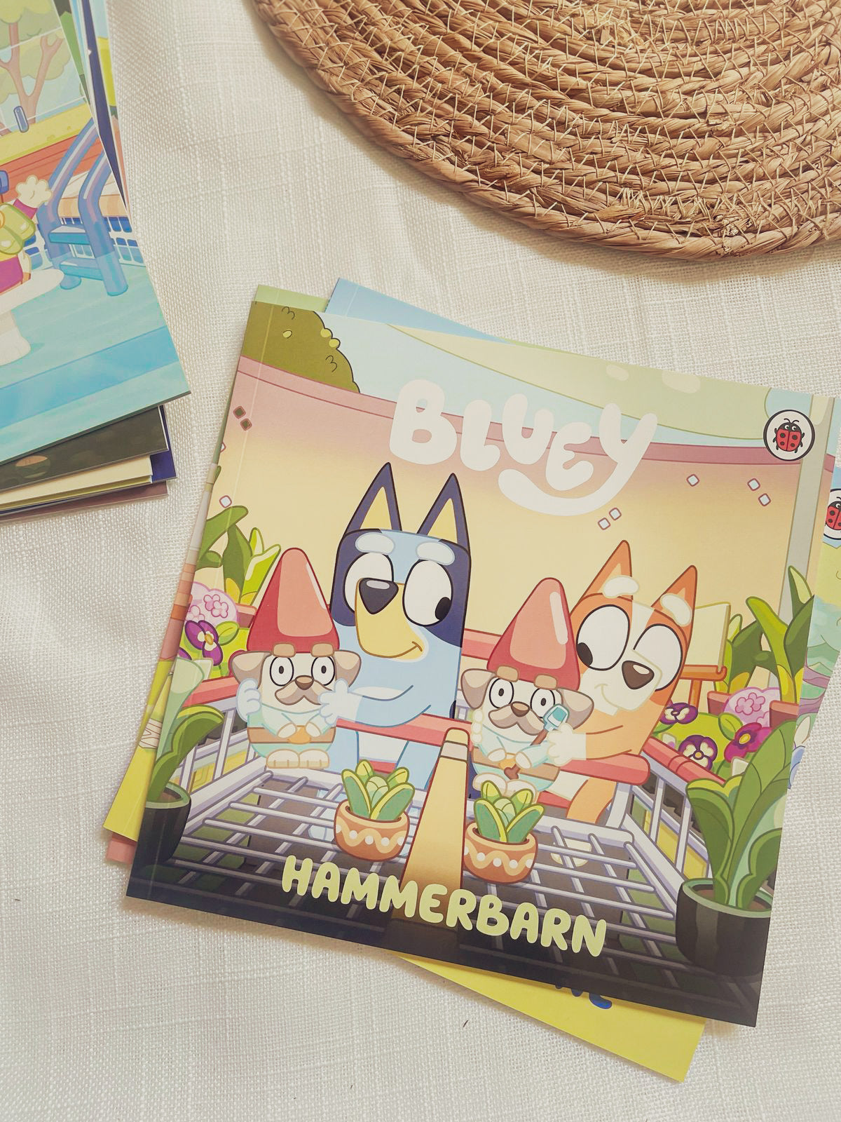 Bluey Let's Do This! Box of Books 10 Books Collection Box Set