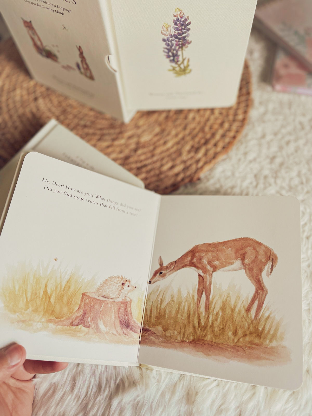 Our Little Adventures: Stories Featuring Foundational Language Concepts for Growing Minds (Our Little Adventures Series)