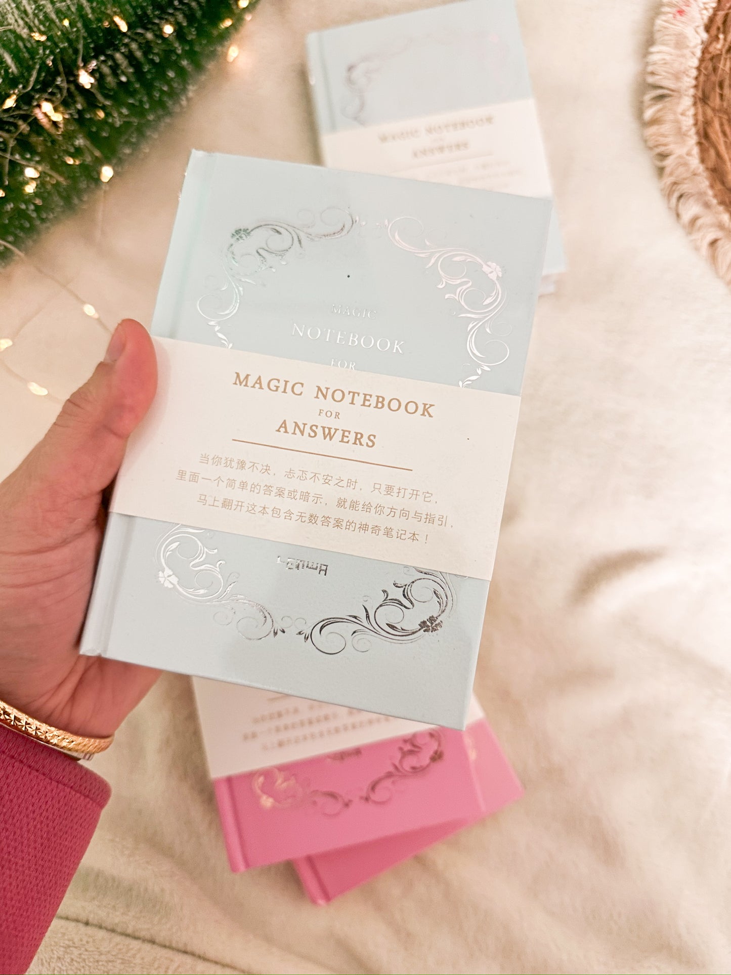 Hardcover The Magic Notebook