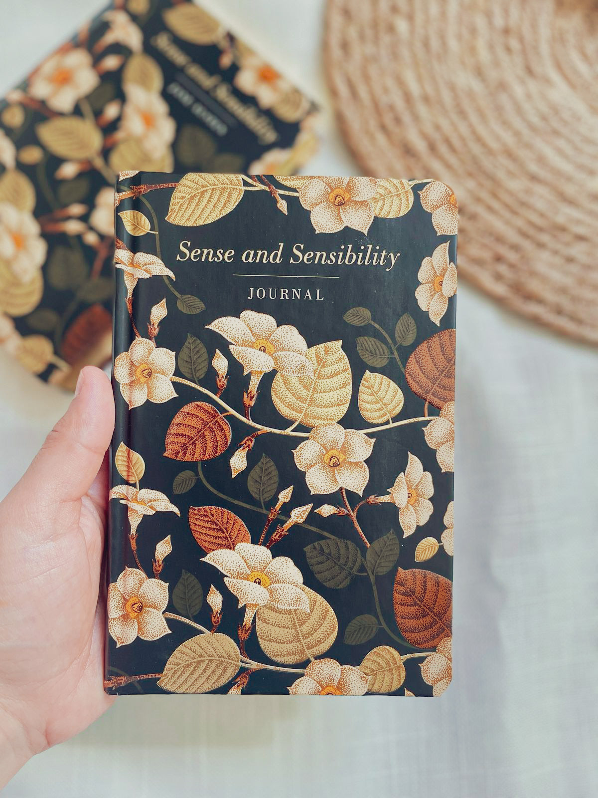 Sense and Sensibility - Lined Journal & Novel | Jane Austen (Gifts)