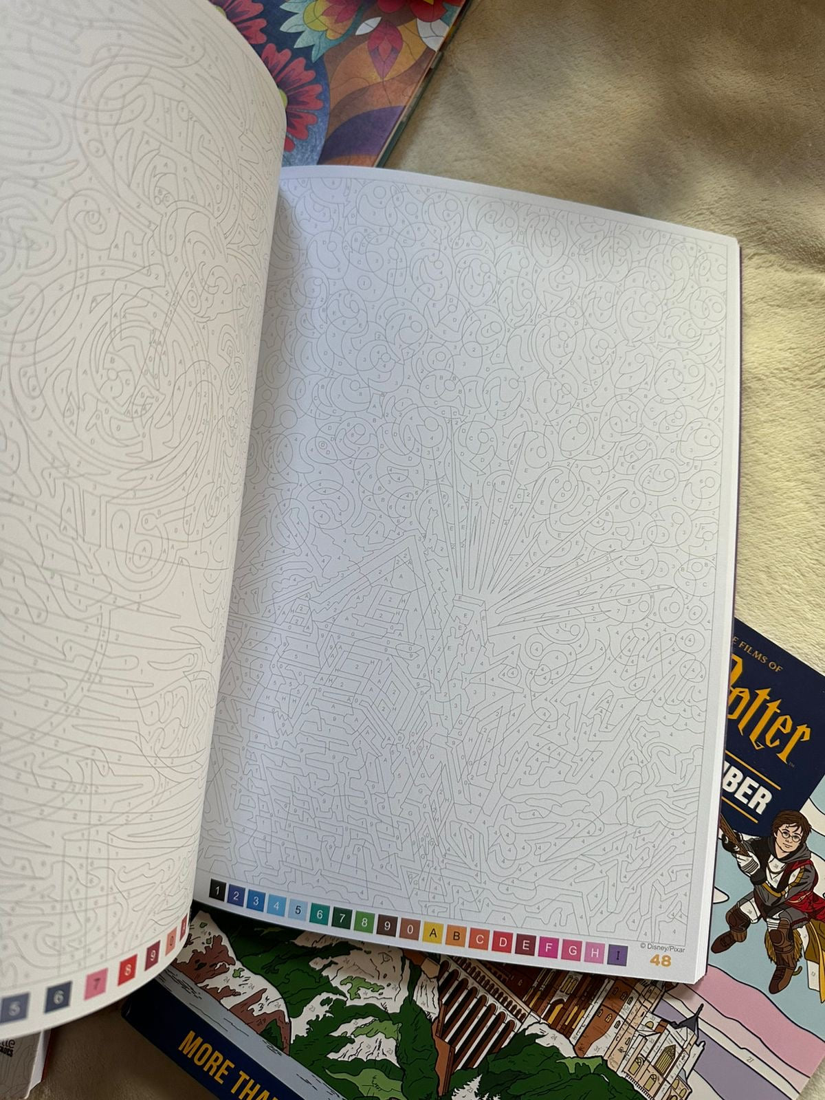 Mystery Disney Coloring Book
- classiques Best of