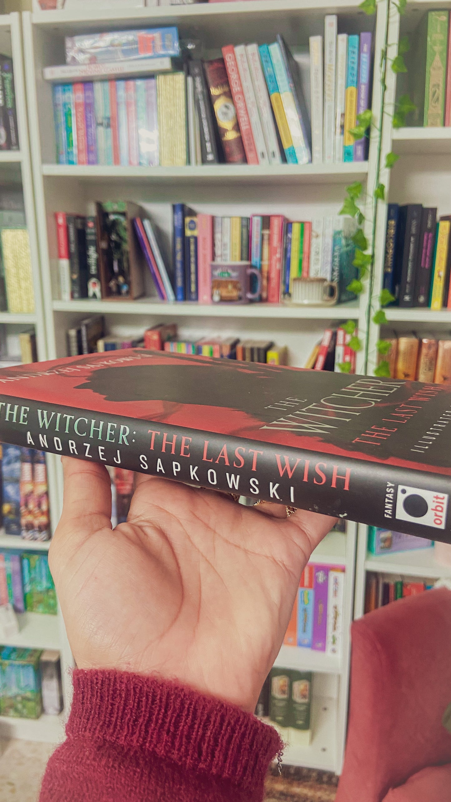 The Last Wish: Illustrated Edition (The Witcher, 1)
