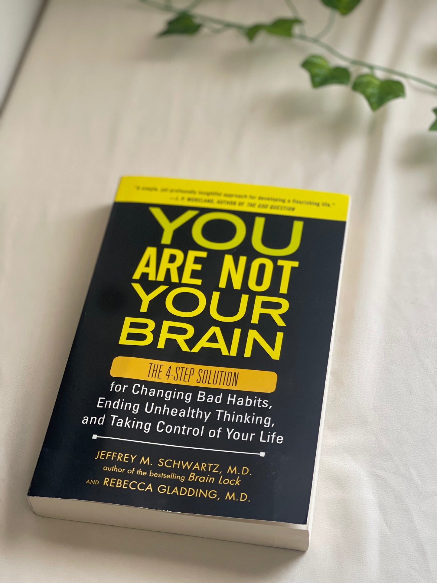 You Are Not Your Brain