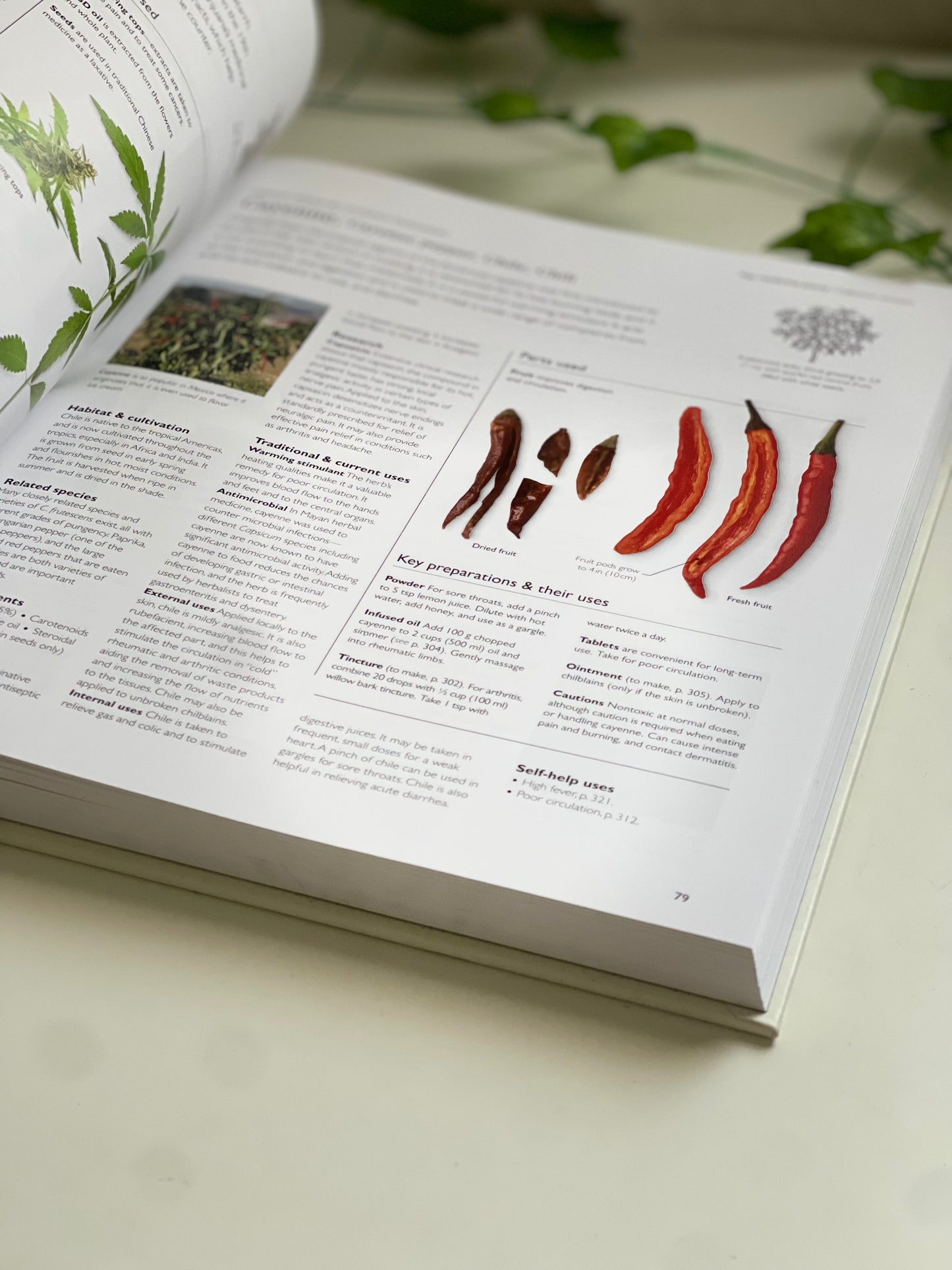 Encyclopedia of Herbal Medicine