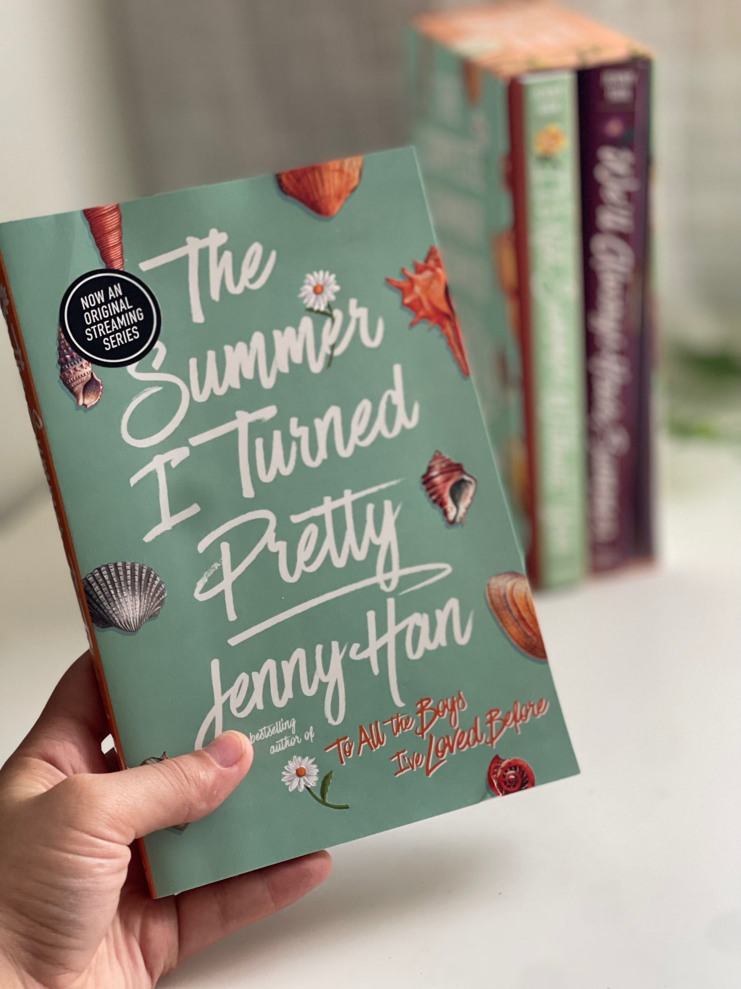 The Summer I turned Pretty-set