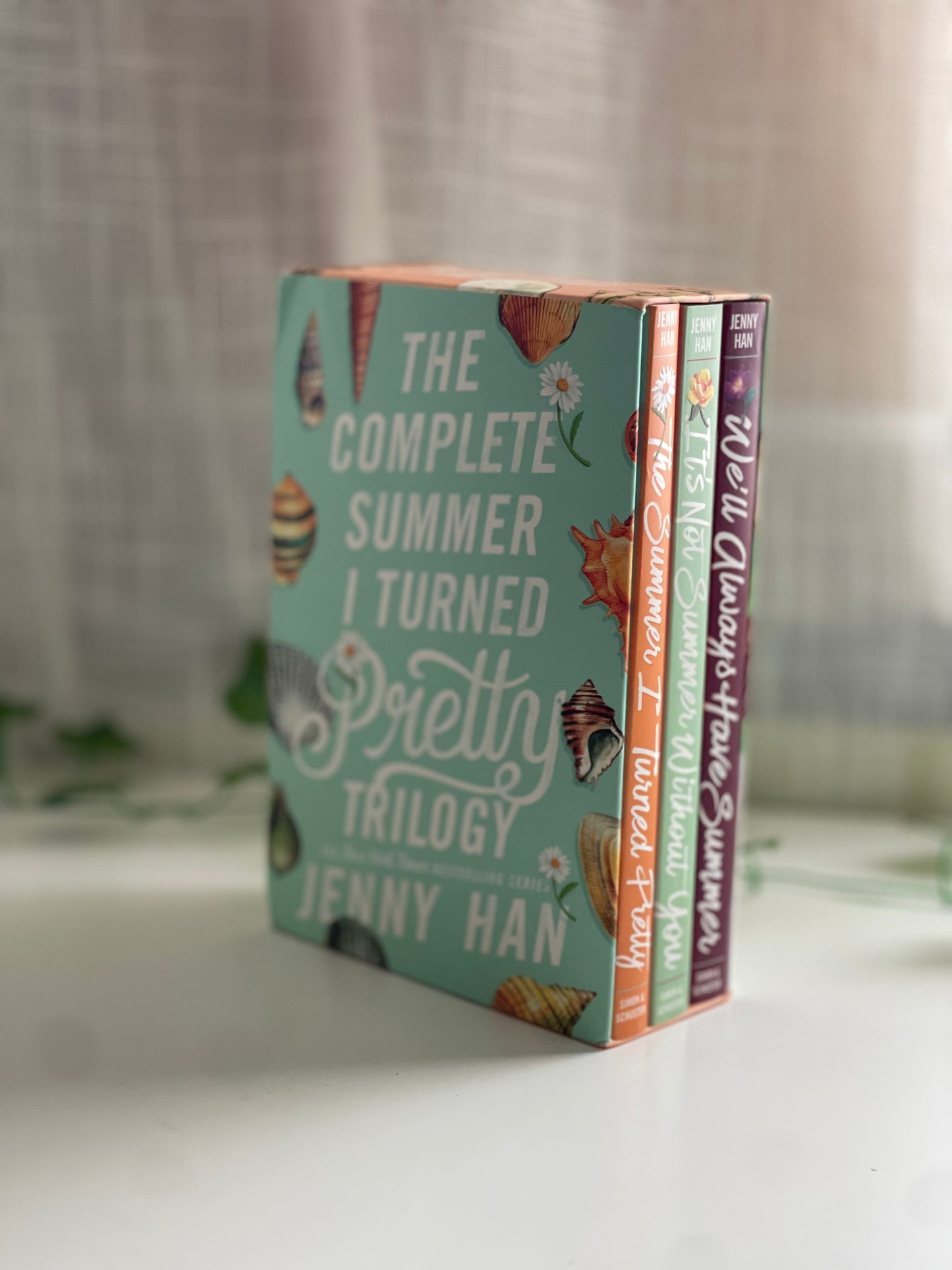 The Summer I turned Pretty-set