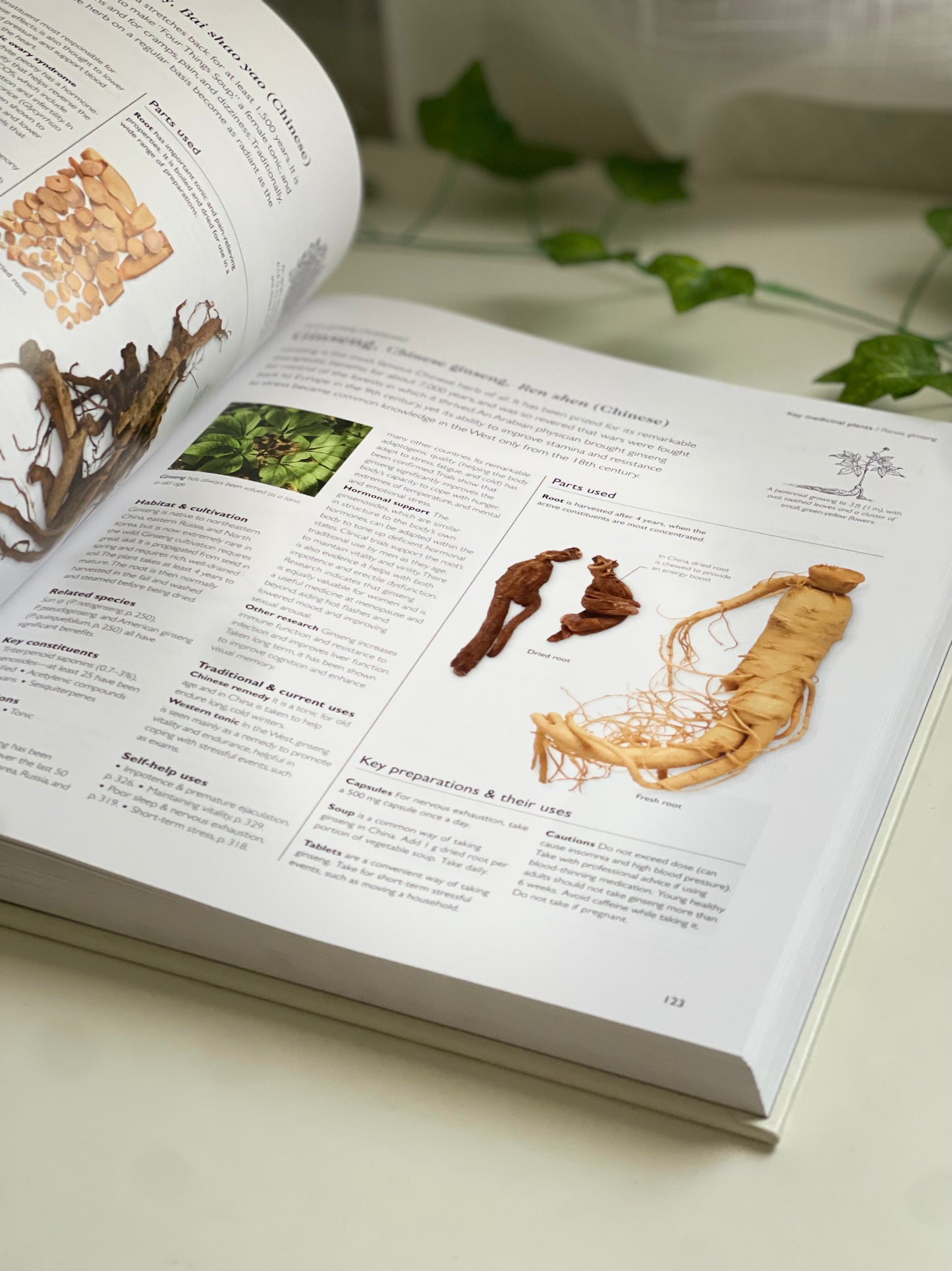 Encyclopedia of Herbal Medicine