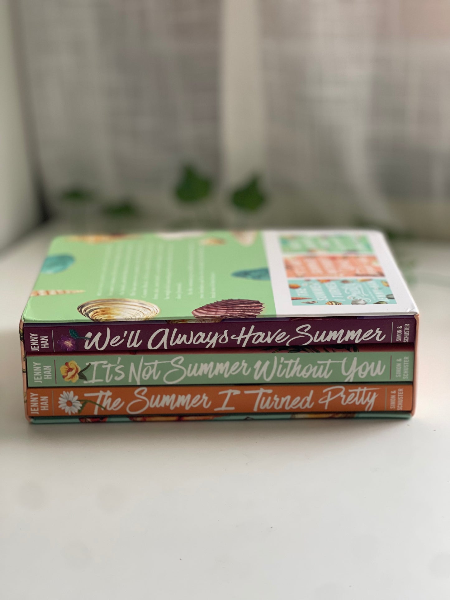 The Summer I turned Pretty-set