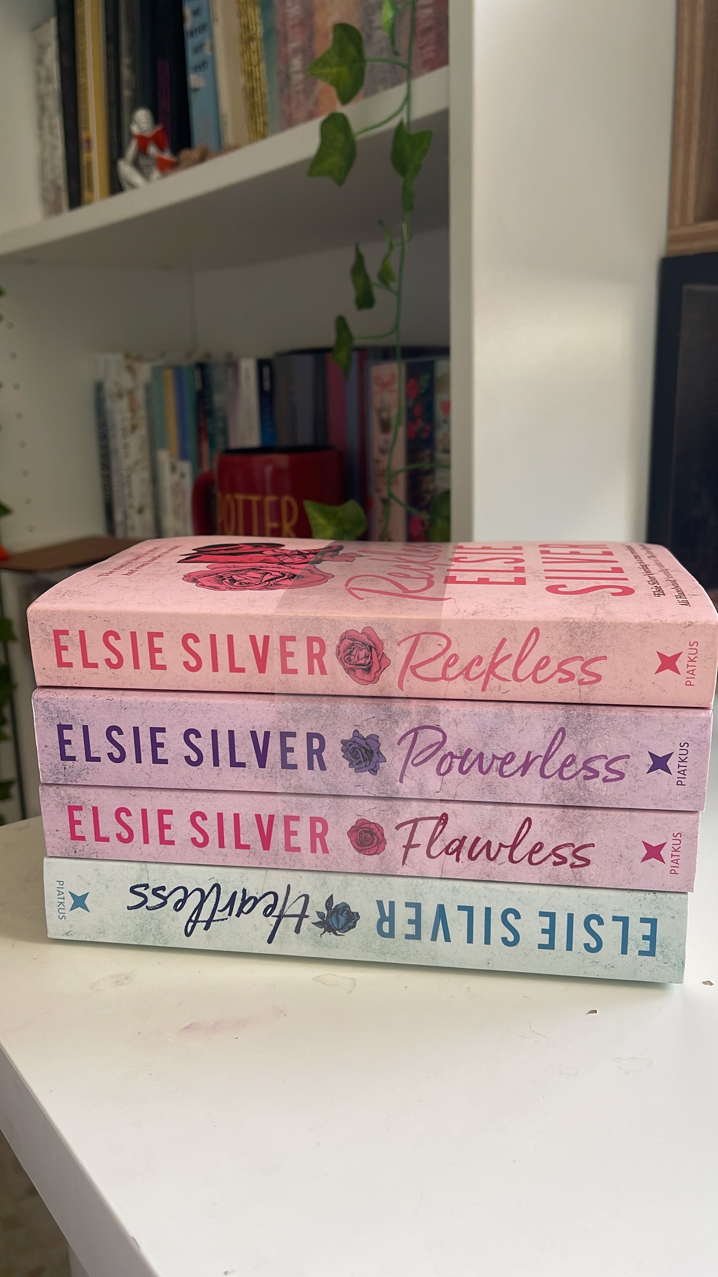Chestnut Springs bookset -Elsie Silver