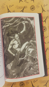 The Last Wish: Illustrated Edition (The Witcher, 1)