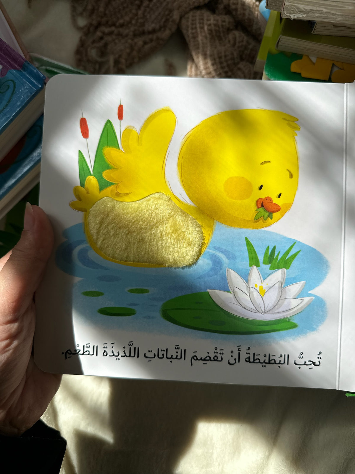 ما الذي تحبه البطة الصغيرة ؛ التعلم بحاسة اللمس