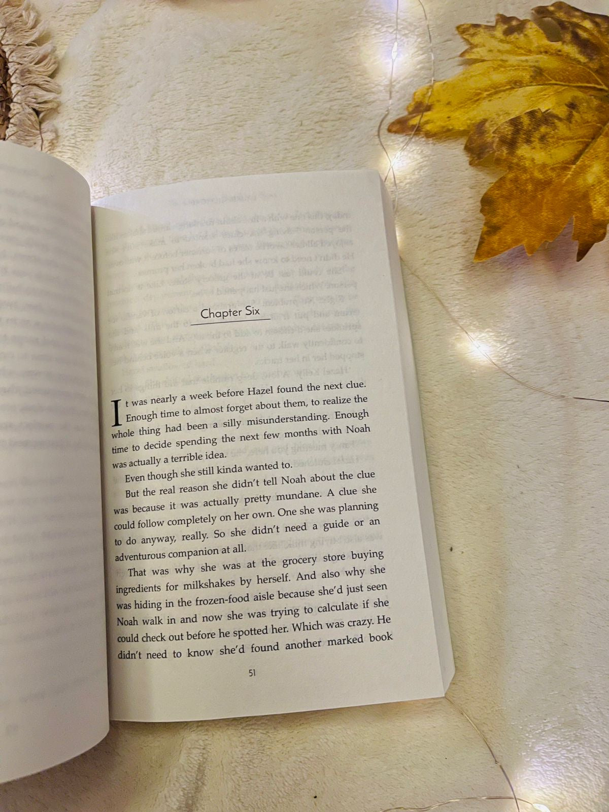 The Cinnamon Bun Book Store: The viral TikTok cozy fall romance