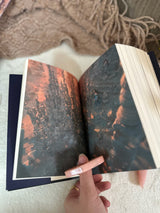 يومي ورسام الكوابيس ؛ براندون ساندرسون ( Hardcover )