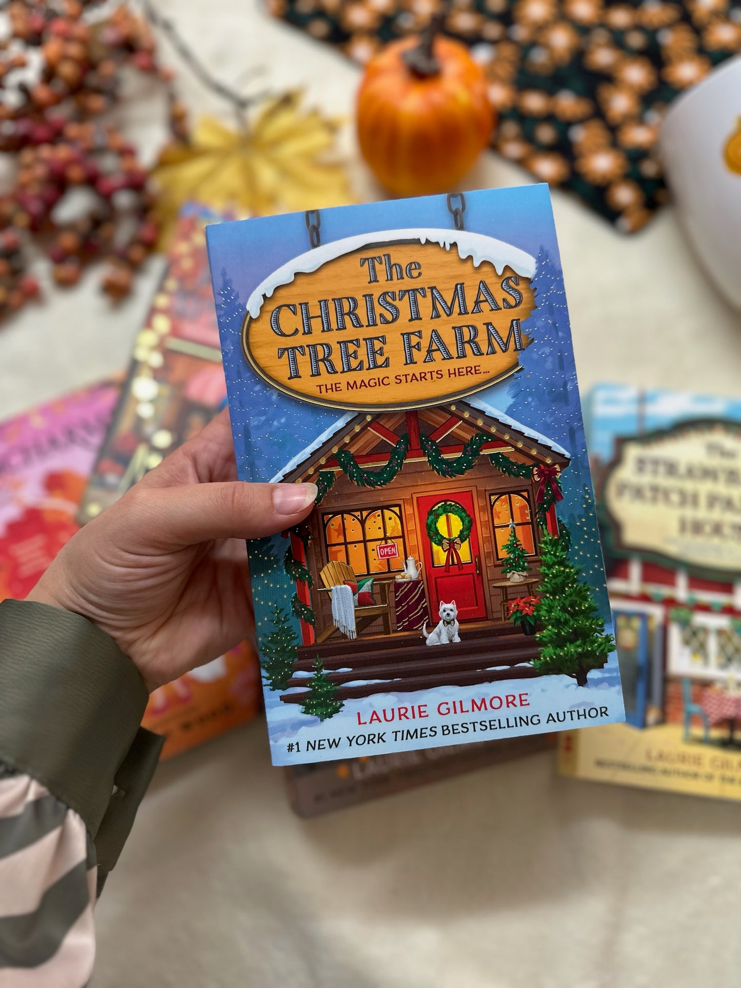 The Christmas Tree Farm | Dream Harbor