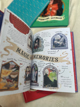 Pocket Potters: Harry Potter (Little Guides to the Harry Potter Books #1)