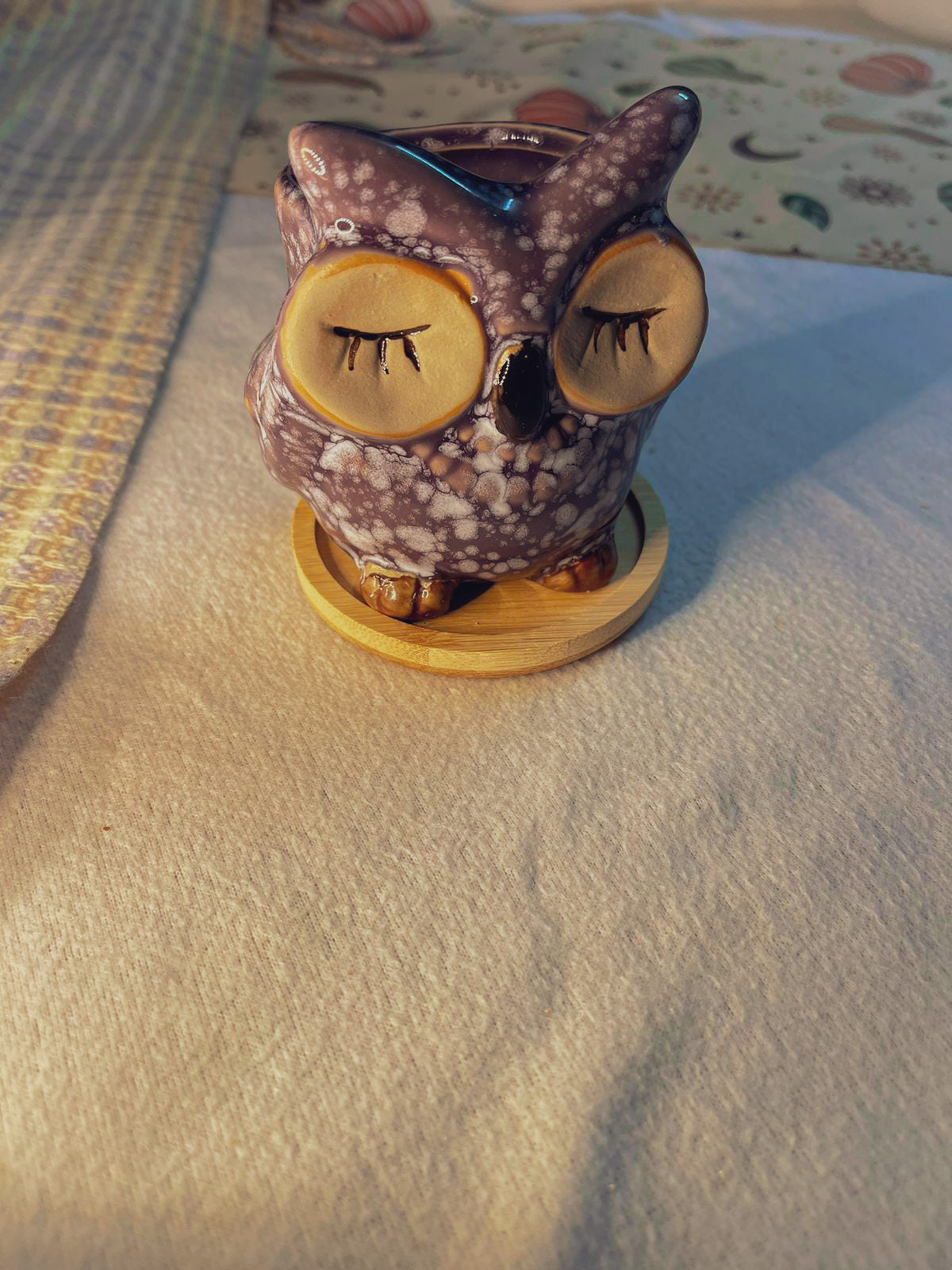 Owl lavender Scented Candle
