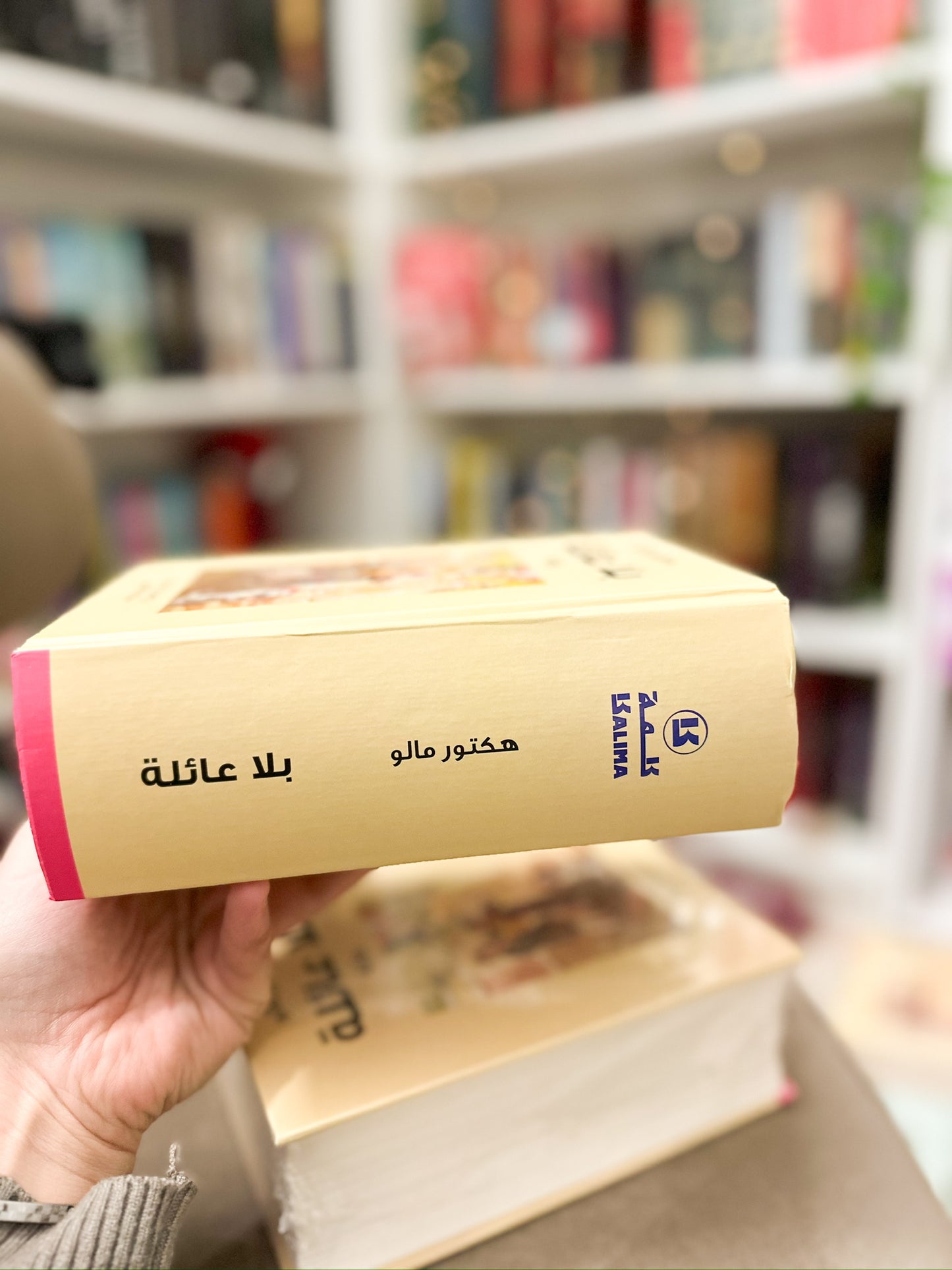 بلا عائلة ( ريمي ) ؛ هيكتور مالو Hardcover