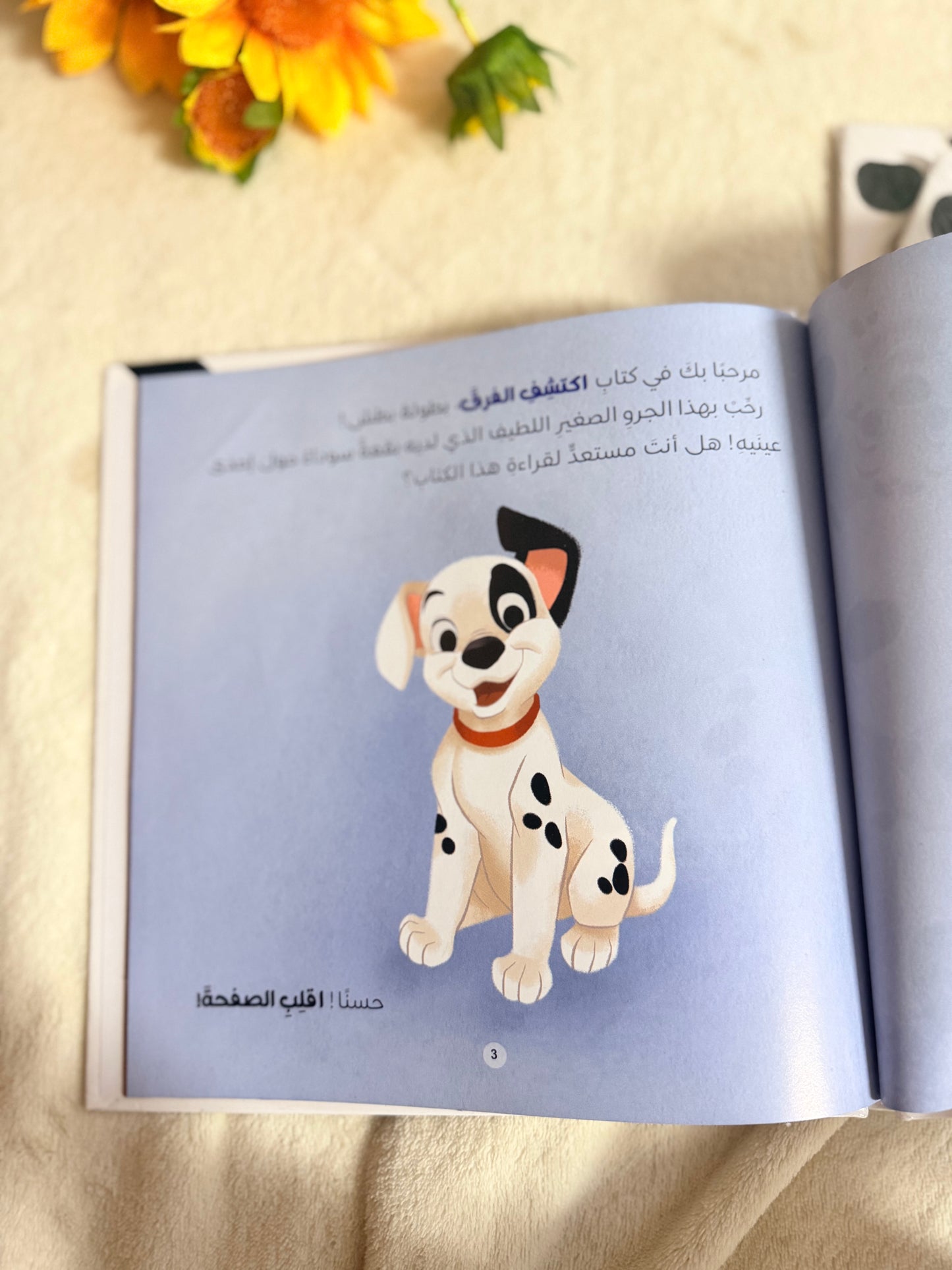 ديزني مائة مرقش ومرقش - اكتشف الفرق