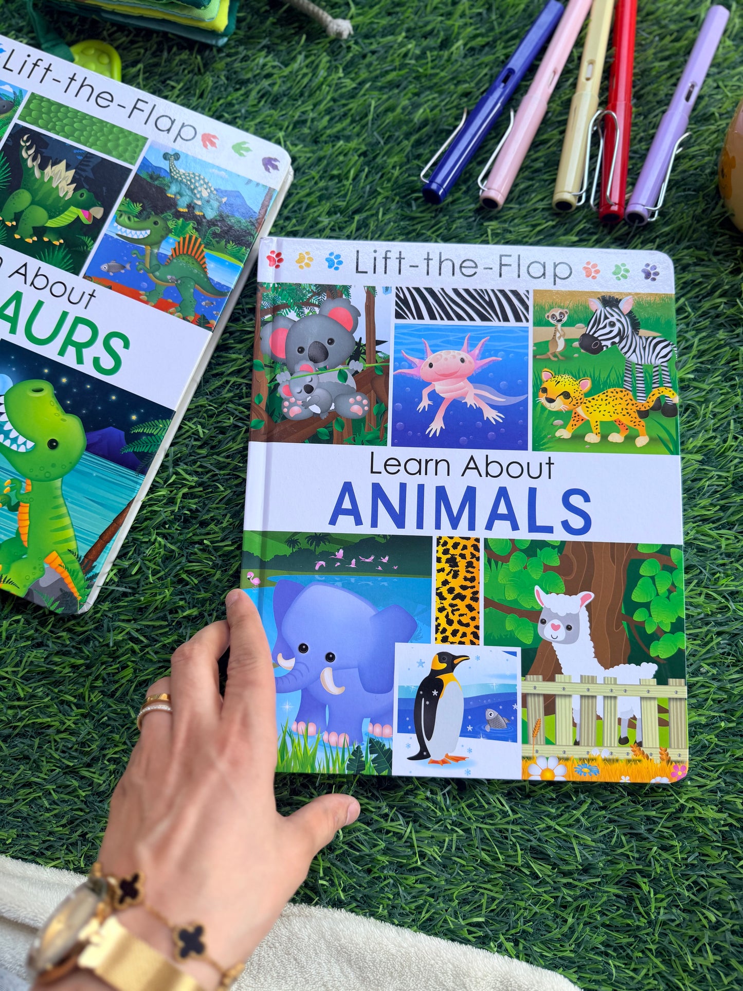 Learn About Animals - Lift the Flap Activity Kids Books - Childrens Books, Toddler Books