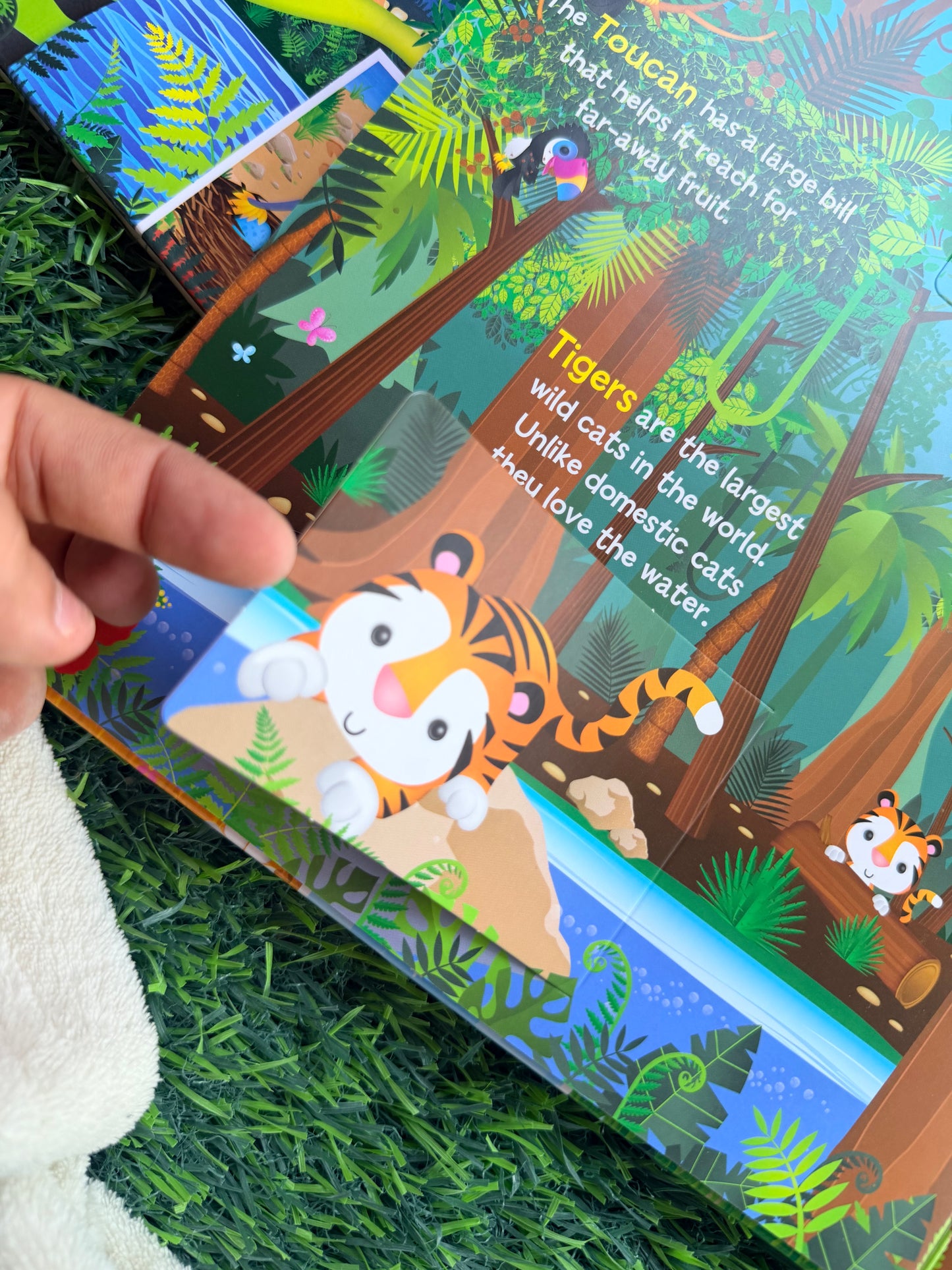 Learn About Animals - Lift the Flap Activity Kids Books - Childrens Books, Toddler Books